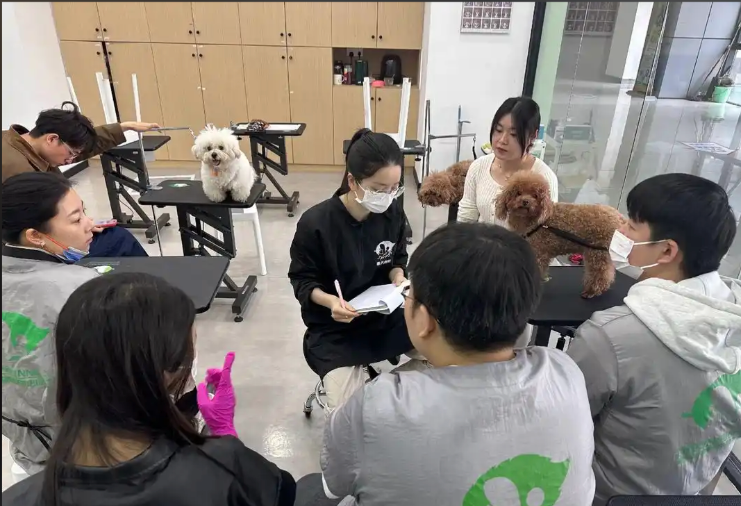 泸州市宠物美容师宠物美容培训学校 - 厂家